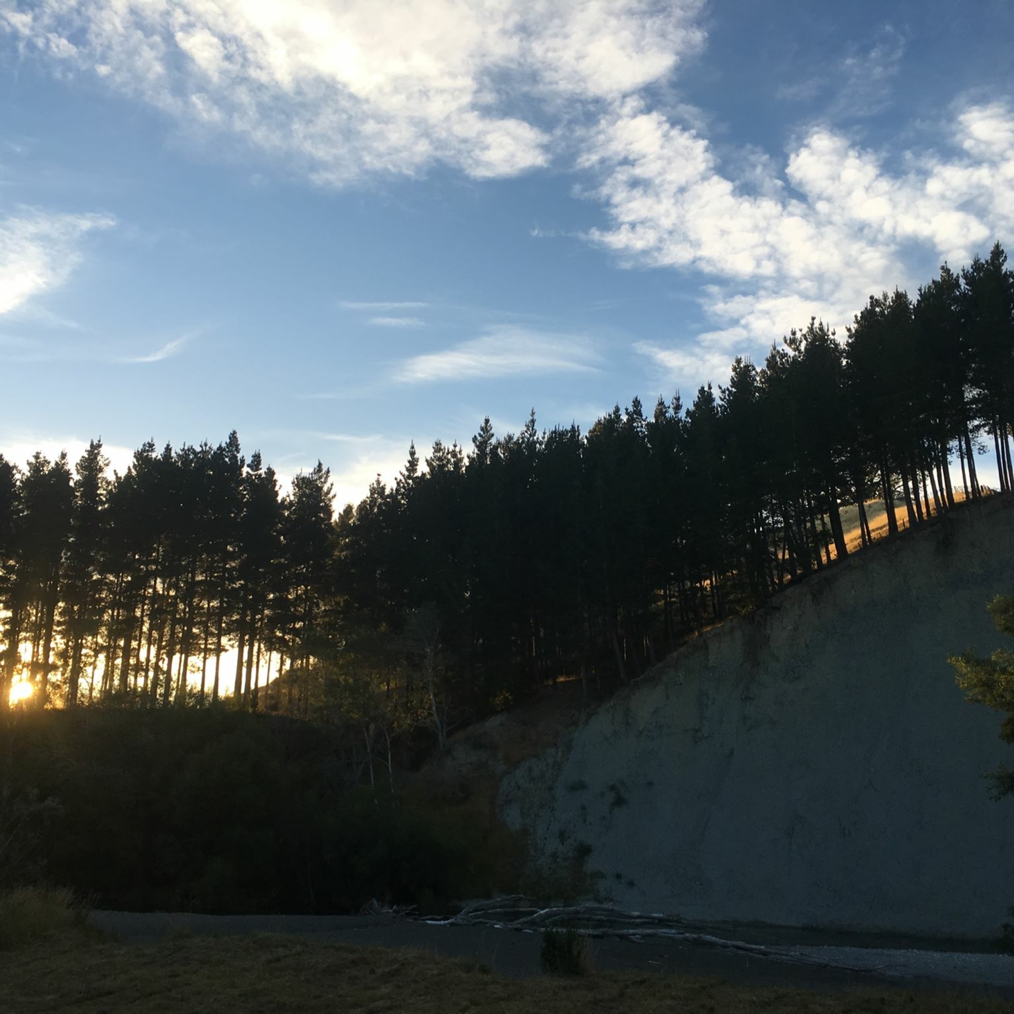 About – Taniwha's Den